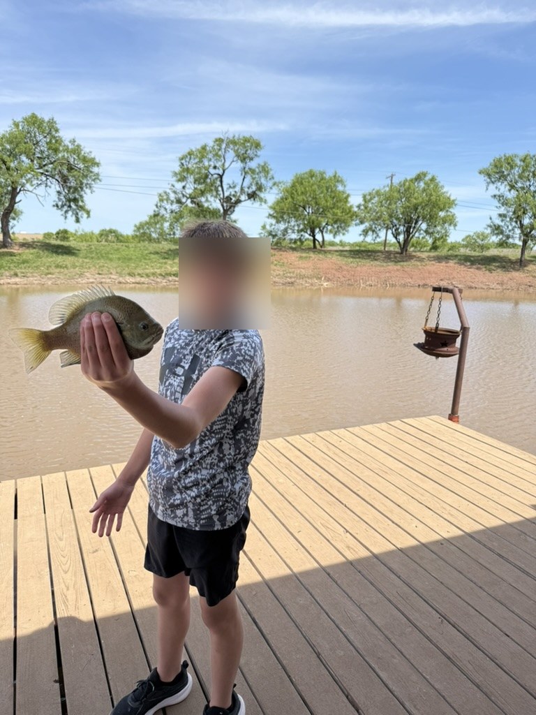 Child holding bluegill caught on MBARK-built pond dock — West Texas fishing